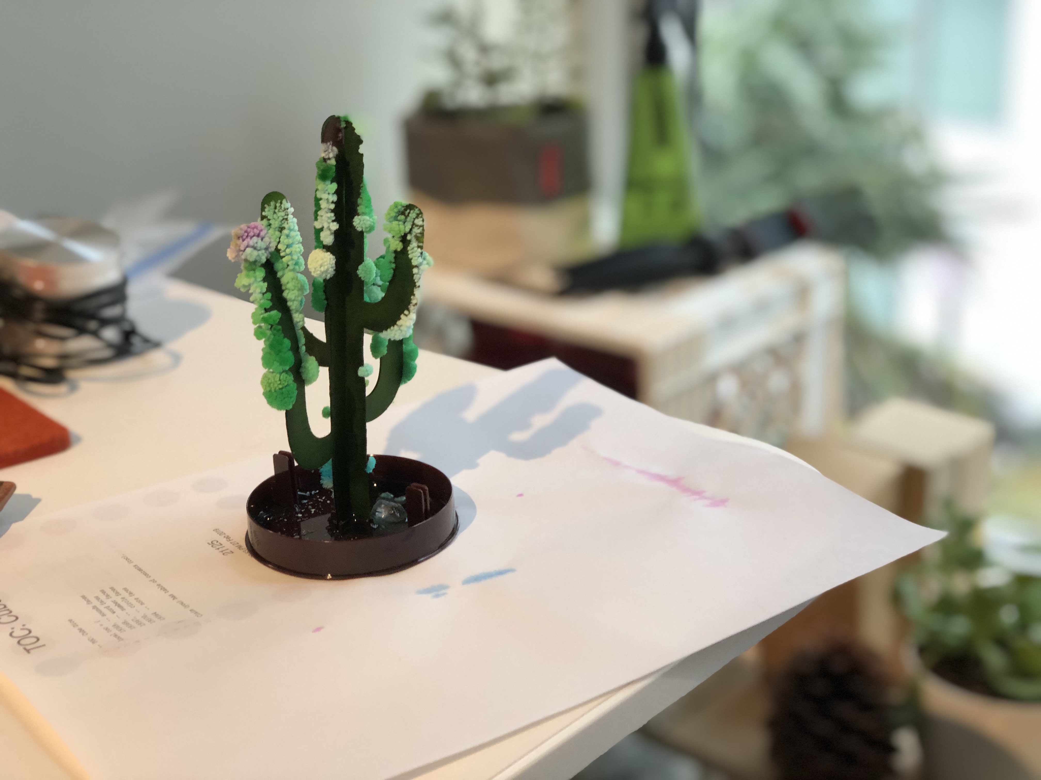 cactus made out of paper