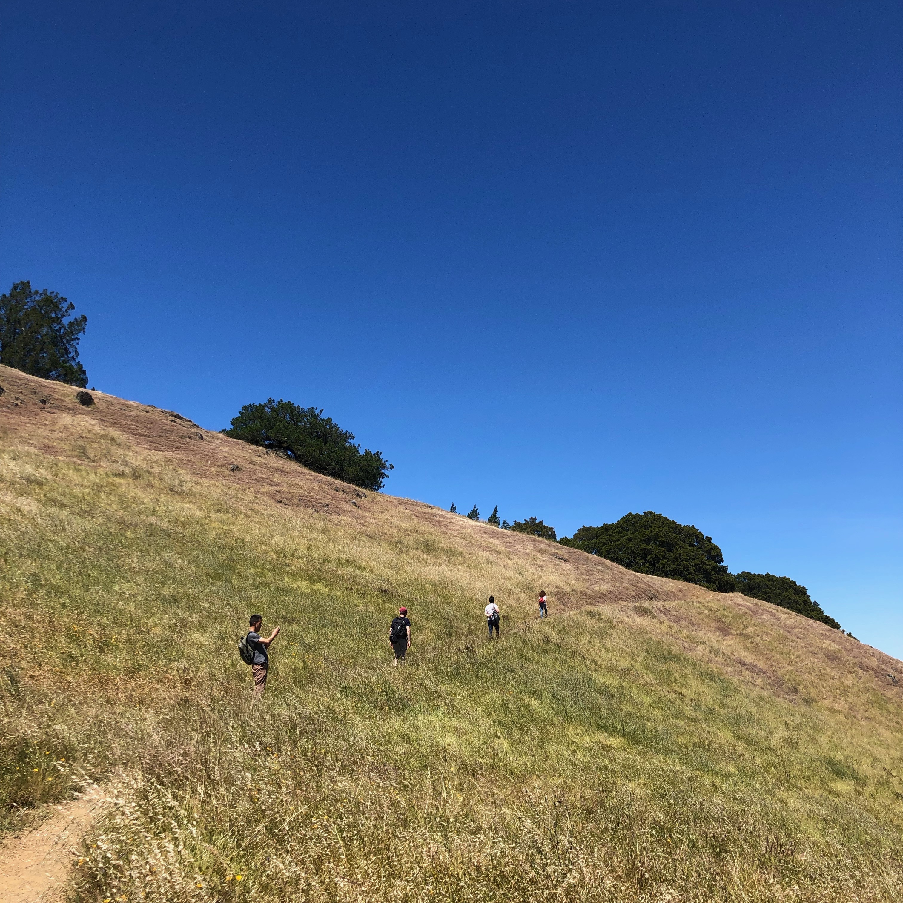 hiking with friends